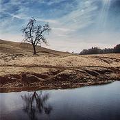 Nature's Mirror