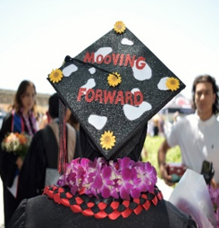 Decorated Graduation Cap Example 2