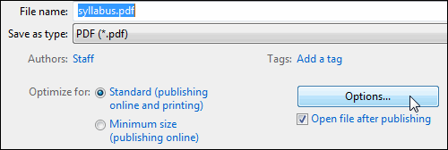 Select PDF as the Save As type, then select Options.