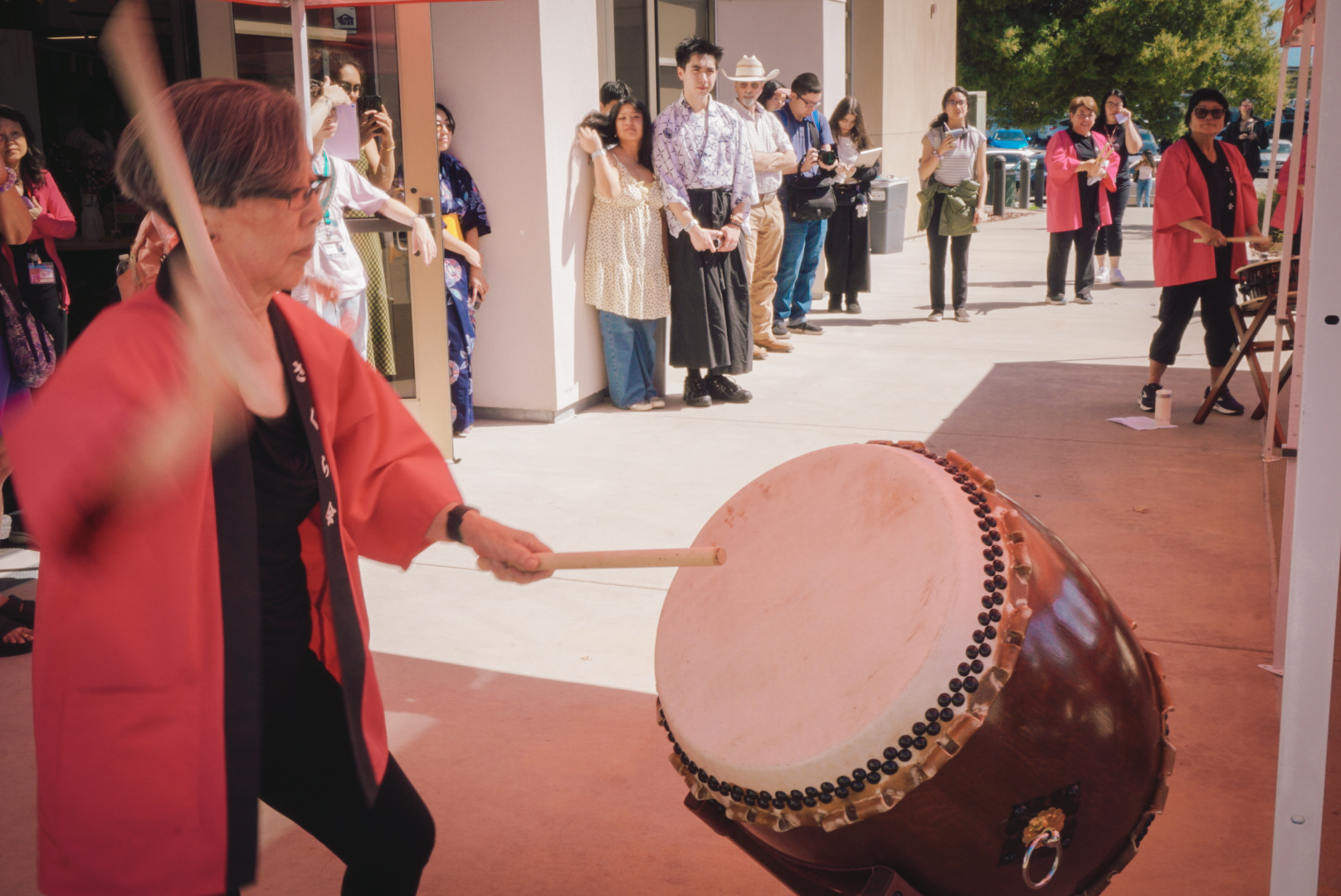 Japanese Cherry Blossom Fest