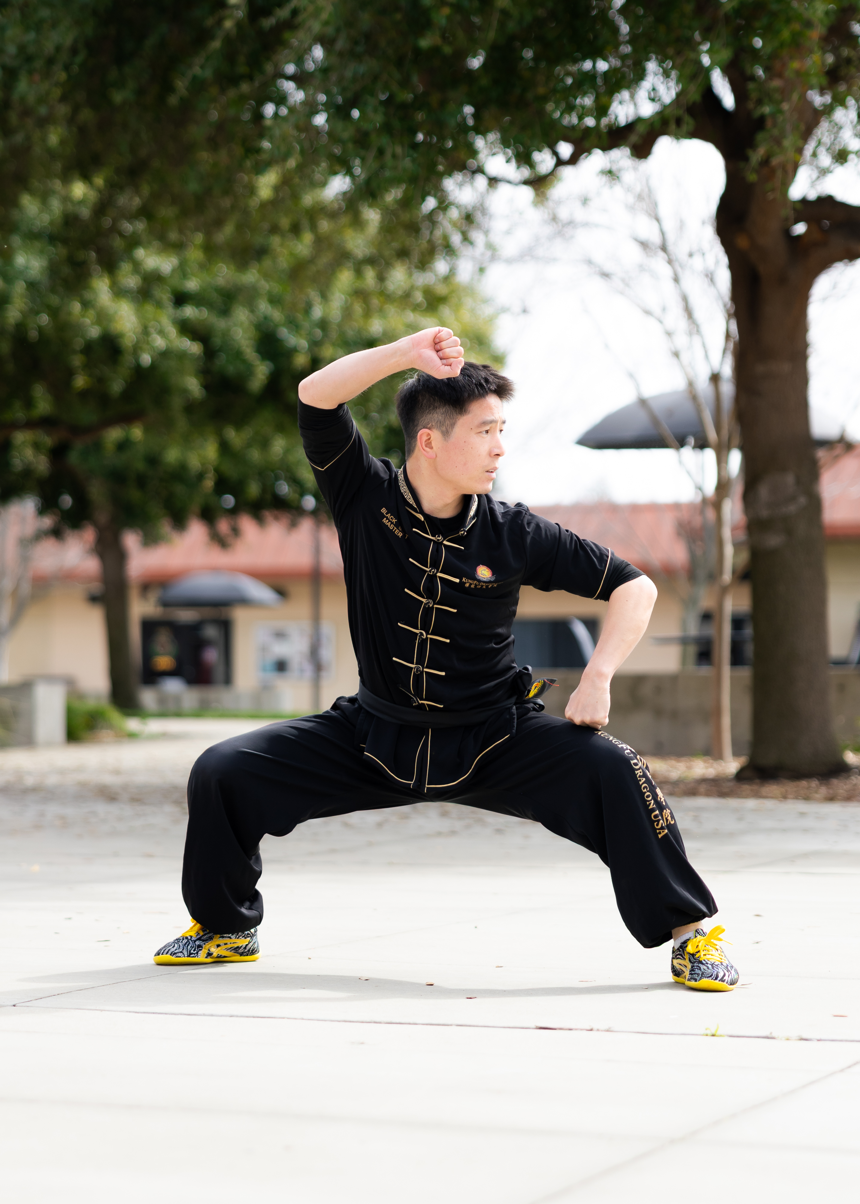 Lunar New Year Festival