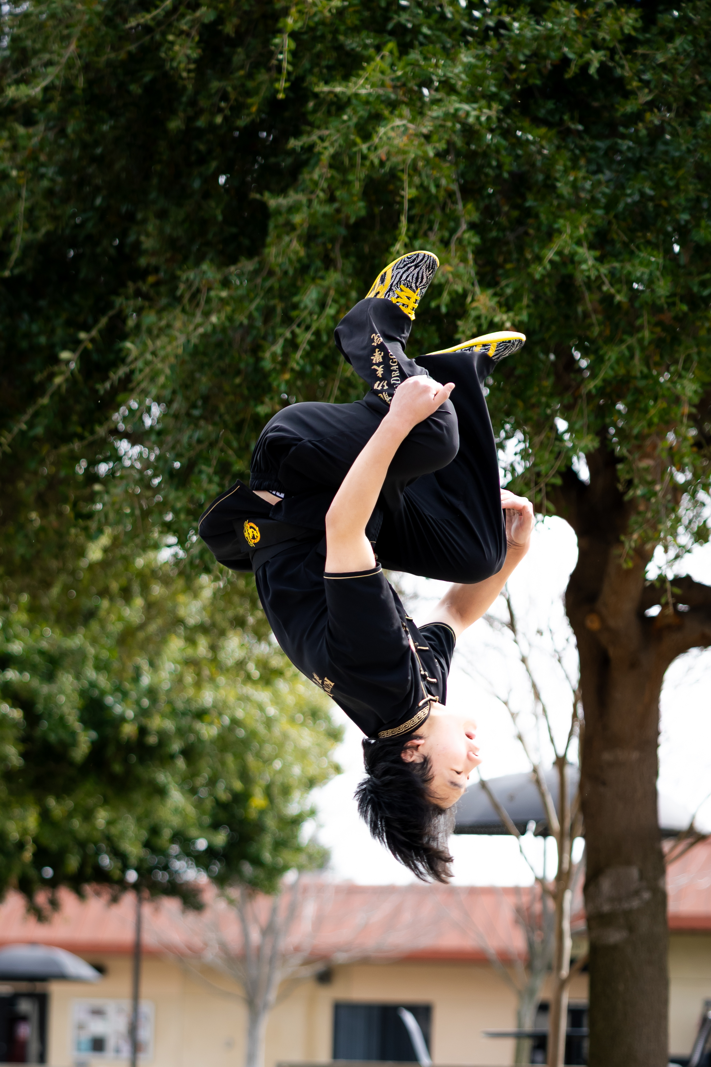 Lunar New Year Festival