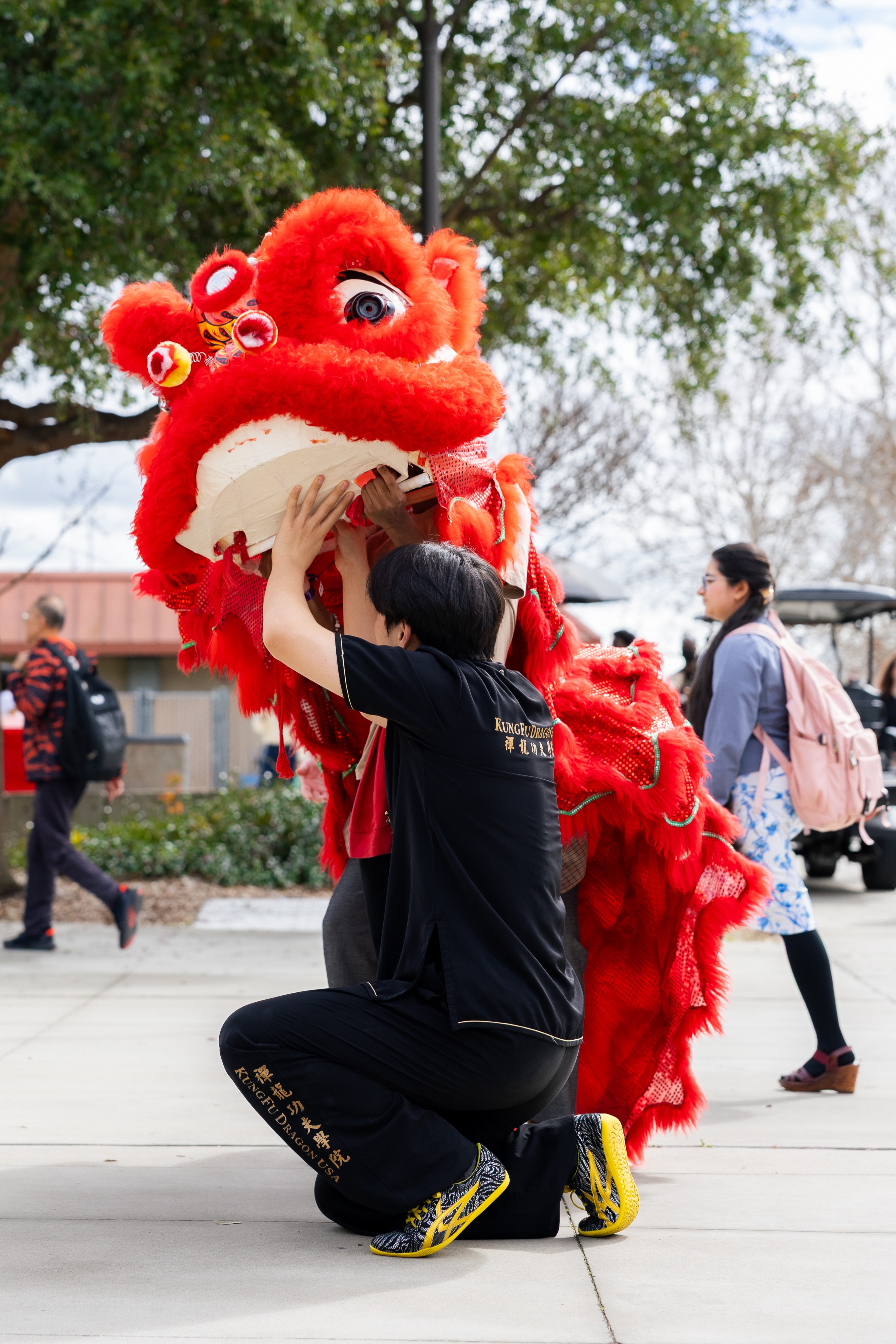 Lunar New Year Festival