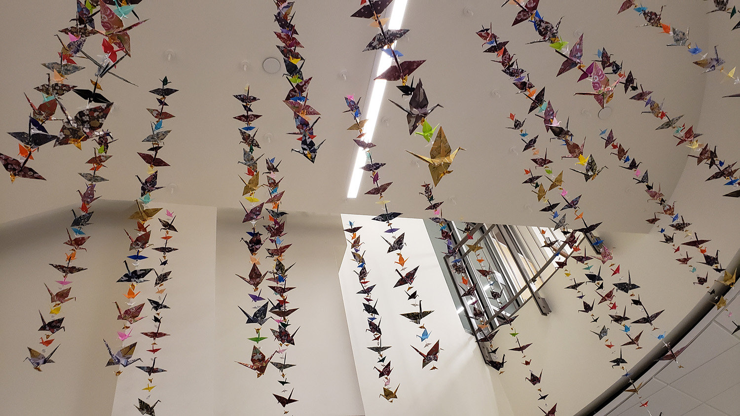 Alexandra Faulkner Thousand Cranes