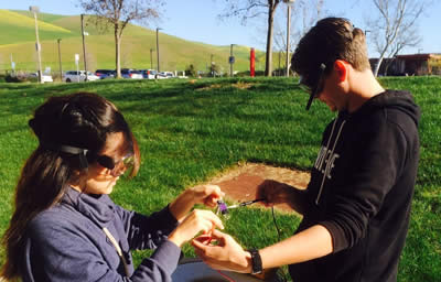 Students trying out a solar cell made in lab with raspberry dye.