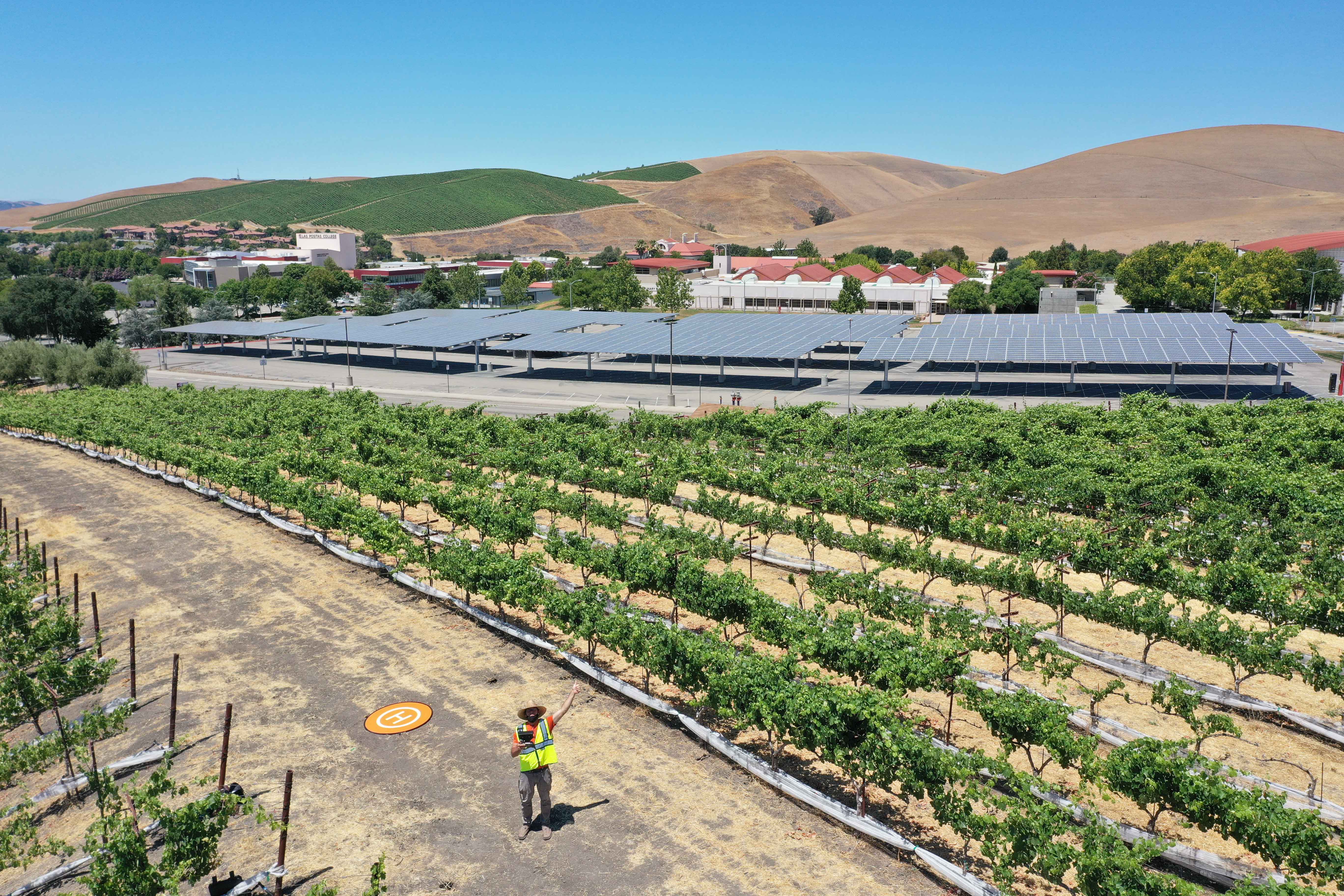 Overhead shot of Campus Hill vineyard with Campus in the Background