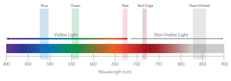 colored chart showing wavelengths of light