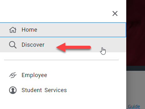 Discover Menu Item