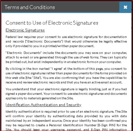 terms and conditions