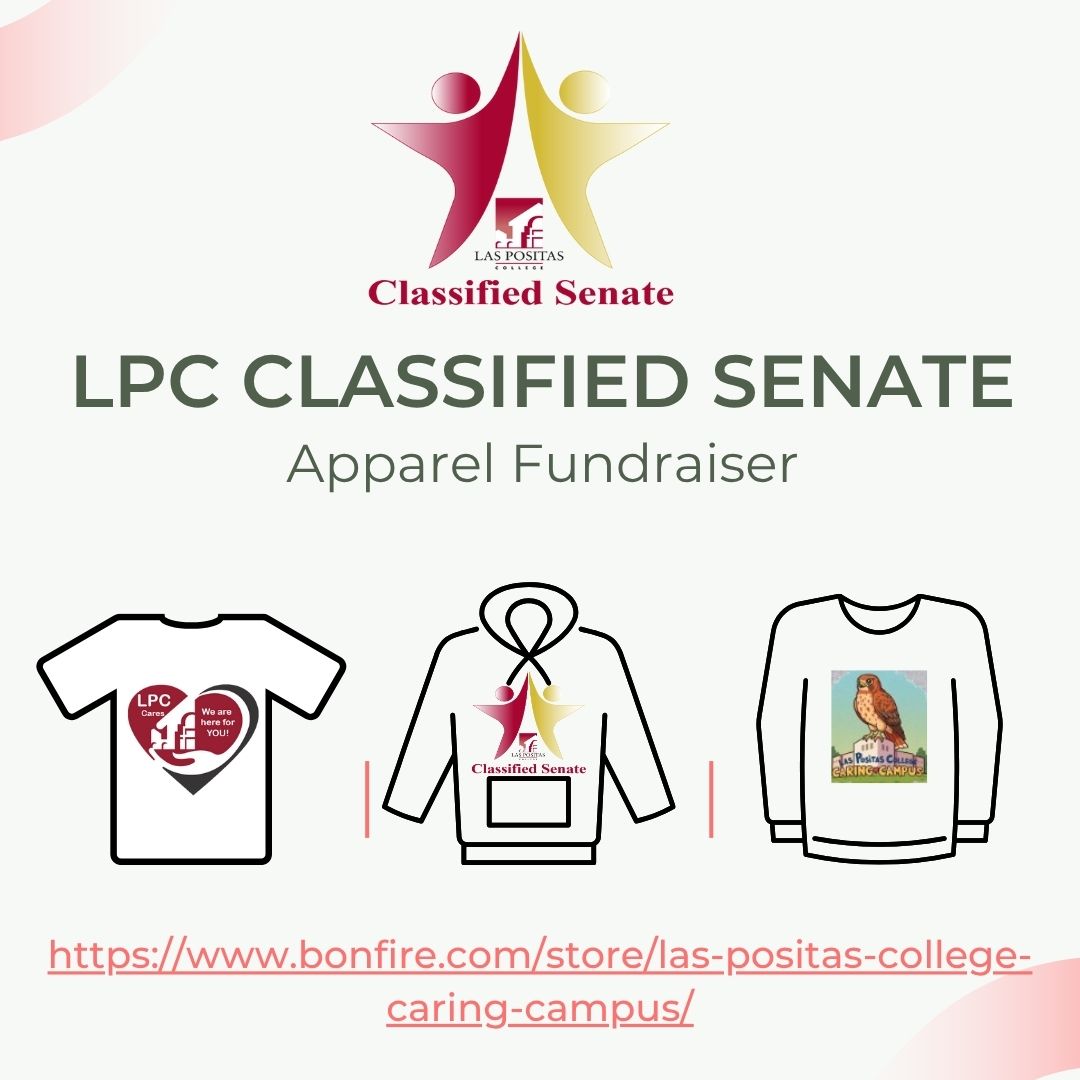 Classified Senate Bonfire Storefront