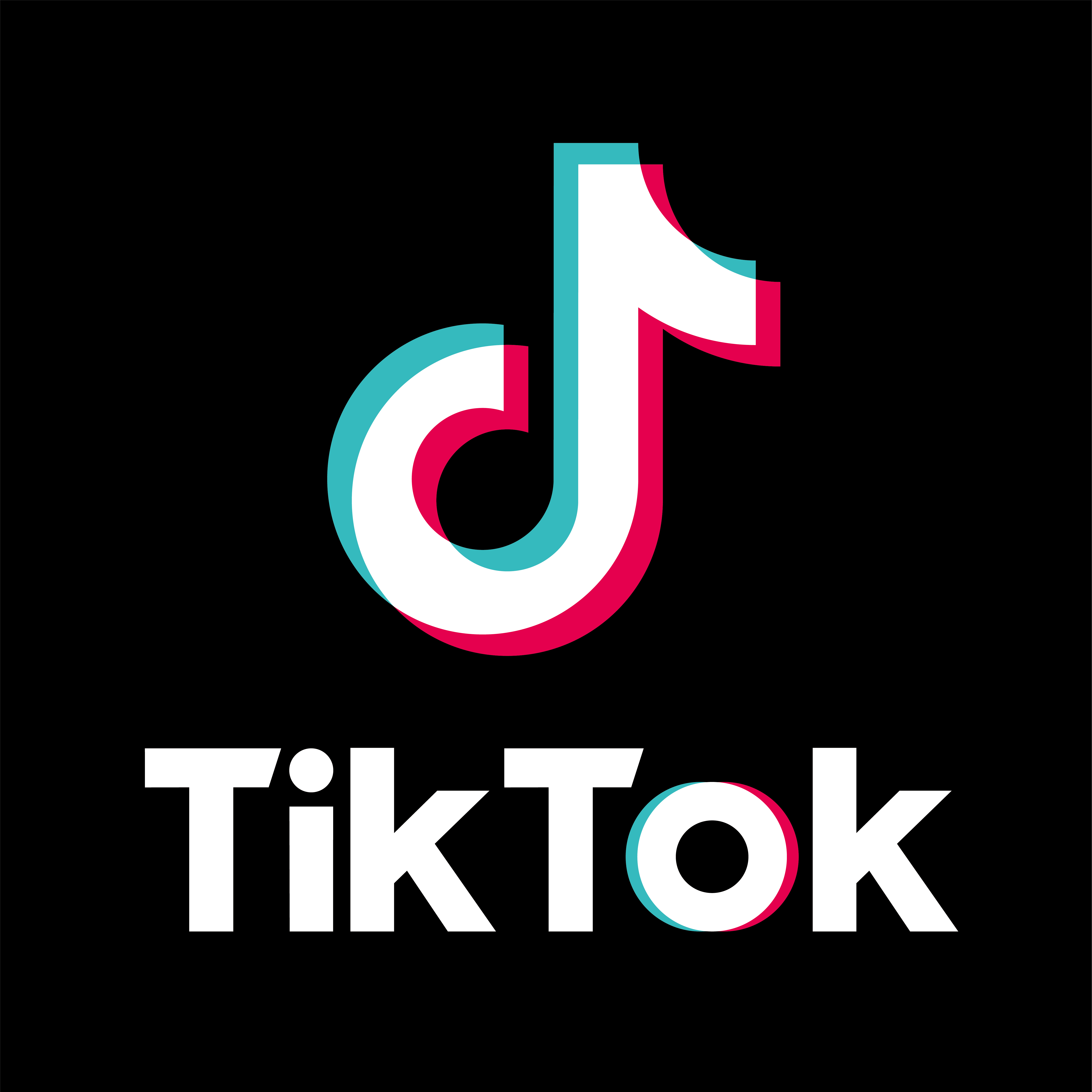 Tiktok Icon