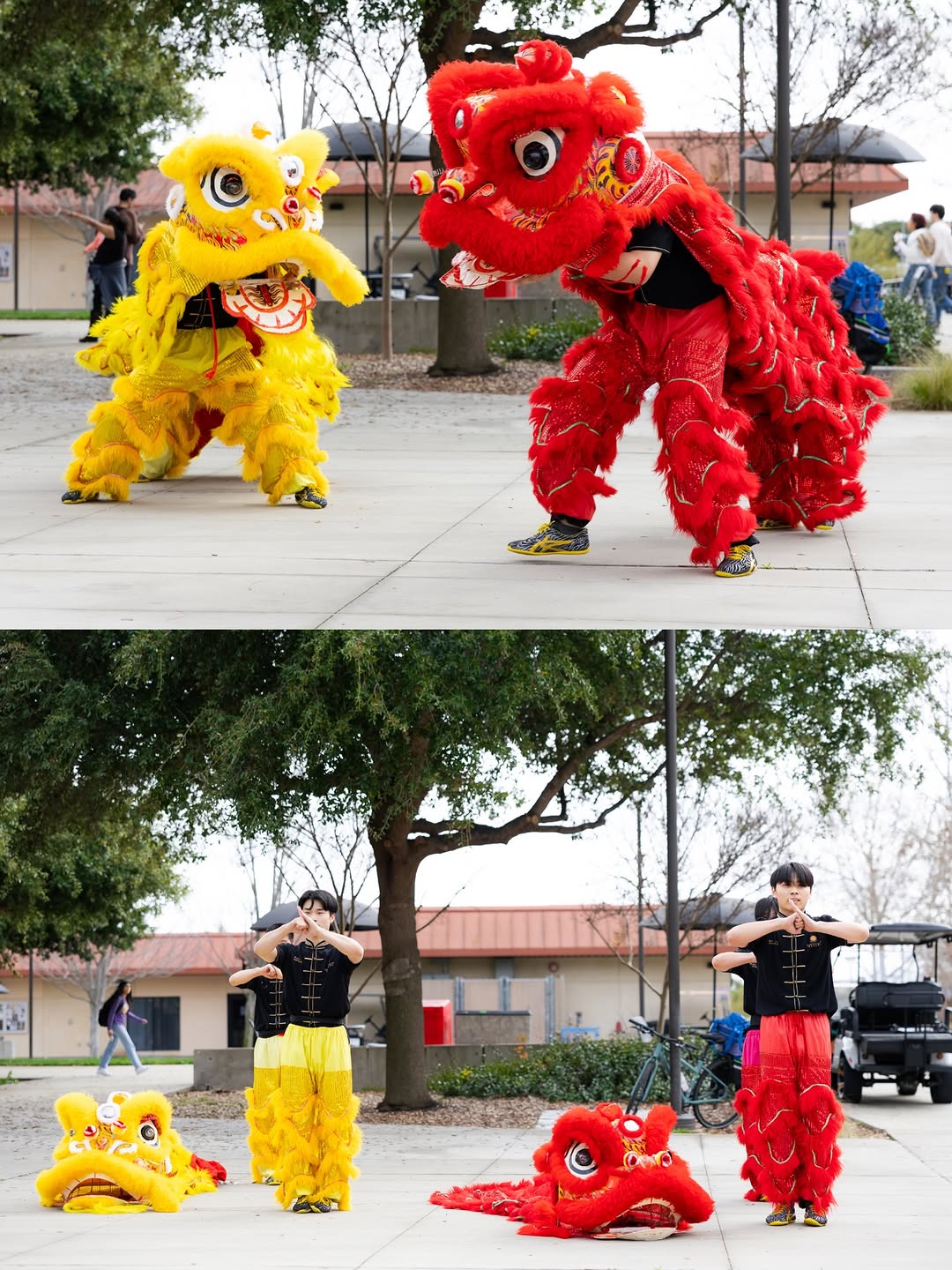 Lunar New Year 2026