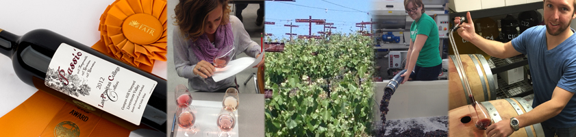 Viticulture & Winery Technology
